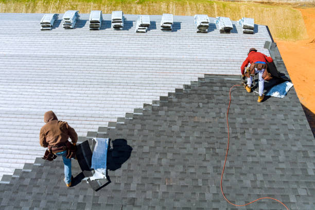 Best 4 Ply Roofing  in La Marque, TX